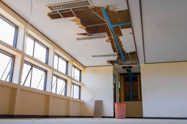 Best Water damage restoration near me  in Grant, NE