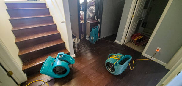 Best Commercial water damage restoration  in Grant, NE