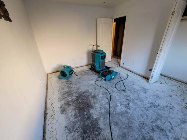 Best Professional water damage repair  in Grant, NE