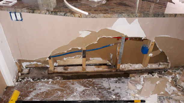 Best Water damage repair service  in Grant, NE