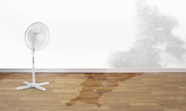Best Water damage cleanup near me  in Grant, NE