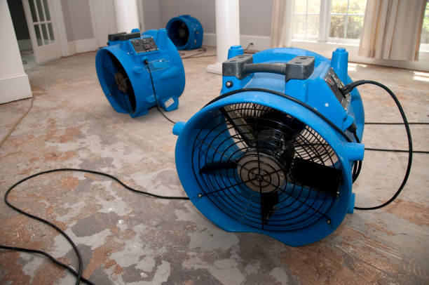 Best Ceiling water damage repair  in Grant, NE