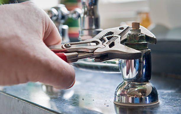 Best Professional water damage repair  in Grant, NE