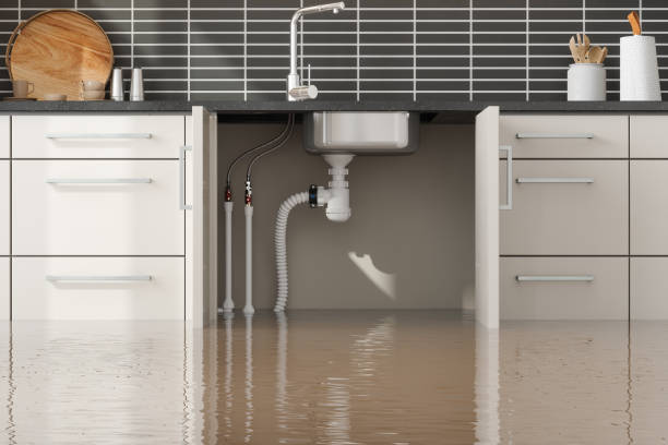 Trusted Grant, NE Water damage restoration Experts