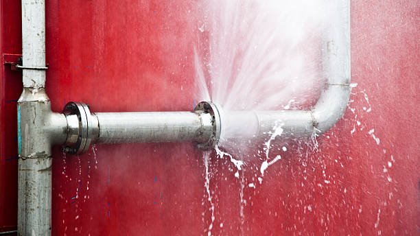 Best Flood damage cleanup  in Grant, NE
